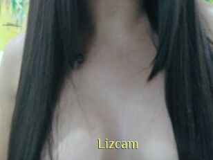 Lizcam