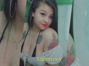 Lizhorney