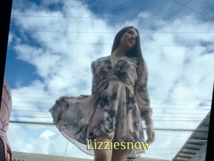 Lizziesnow