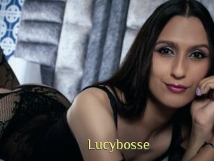 Lucybosse