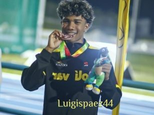 Luigispaez44