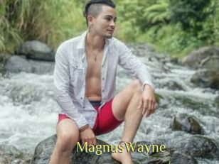 MagnusWayne