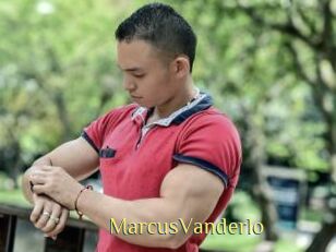 MarcusVanderlo Brutal Spankings