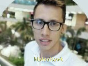 MateoHawk