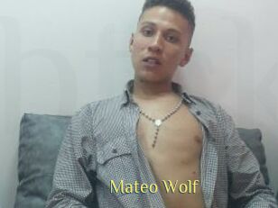 Mateo_Wolf