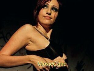 Moxie_Cane
