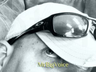 MrBigVoice