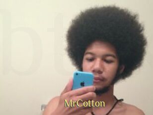 MrCotton