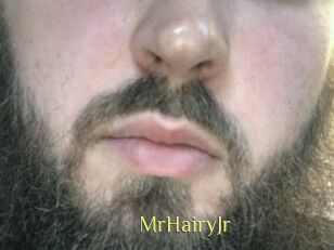 MrHairyJr