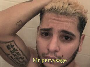 Mr_pervysage
