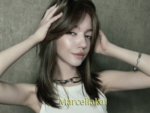 marcellakai Brutal Spankings