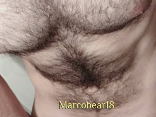 Marcobear18