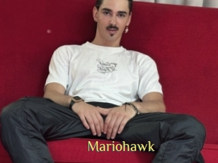 Mariohawk