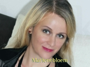 Marlenebloem