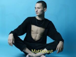 Mattbeast