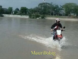 Maurillobig