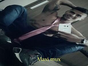 Maxi_mux
