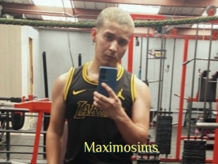 Maximosims