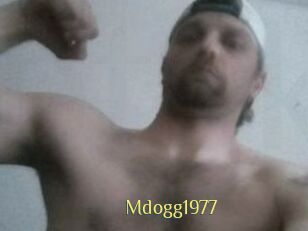 Mdogg1977