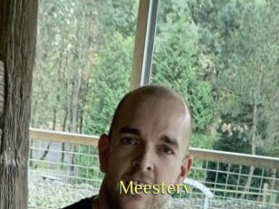 Meesterv