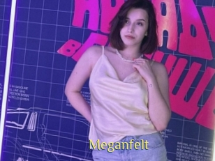 Meganfelt