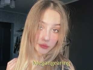 Megangearing