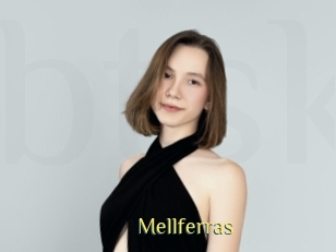 Mellferras