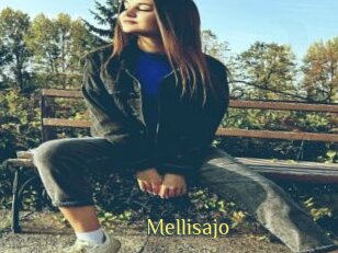 Mellisajo