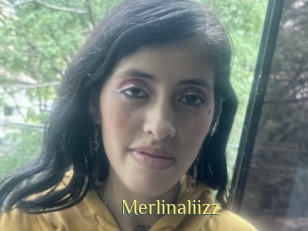 Merlinaliizz