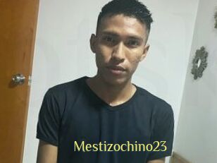 Mestizochino23