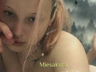Miesakura