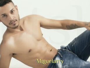 Miguelarry