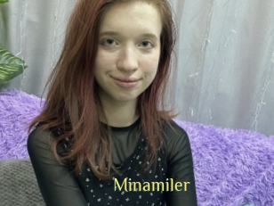 Minamiler