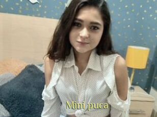 Mini_puca