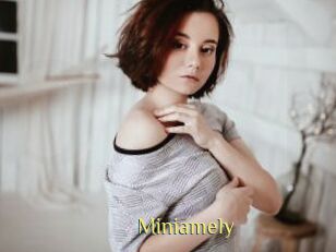 Miniamely