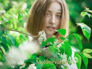 Mollieevans