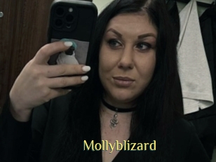 Mollyblizard
