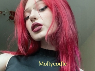 Mollycodle