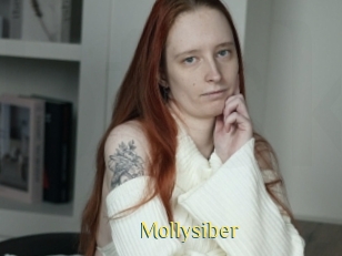 Mollysiber