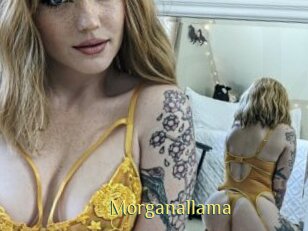 Morganallama