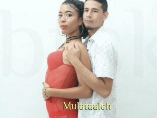 Mulataaleh