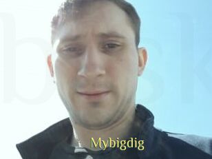 Mybigdig