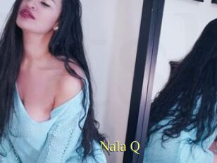 Nala_Q