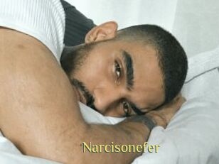Narcisonefer