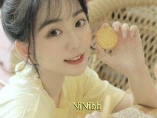 NiNibb