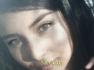 Nicekitty