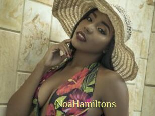 NoaHamiltons