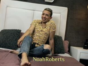 NoahRoberts