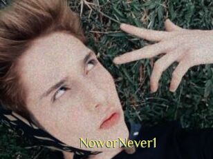 NoworNever1