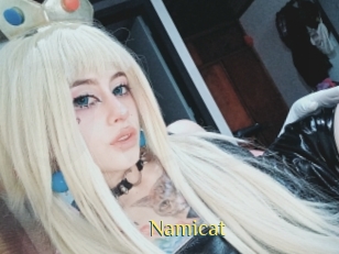 namicat Brutal Spankings